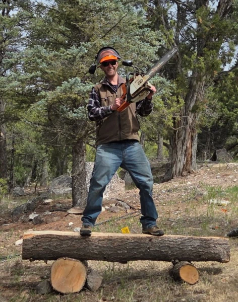 Tree Removal (1)