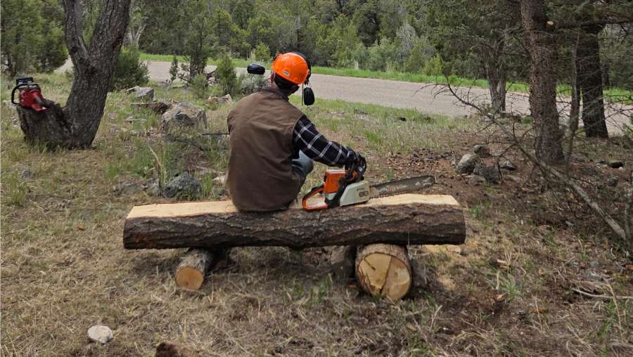 Tree Removal Tree Removal