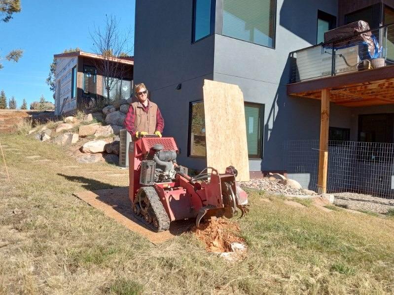 Stump Grinding